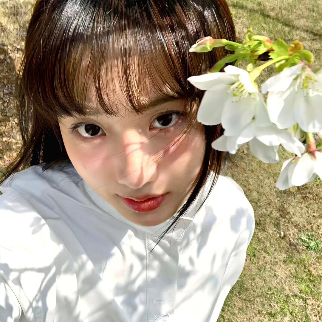 蜡笔小新：呼风唤雨！金矛之勇者国语